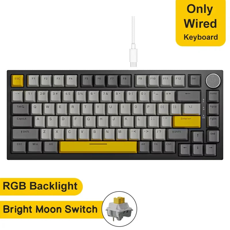 AK820 Wired Full-Key Hot-Swap Keyboard Removable USB Port White/Ice Blue Backlight Premium Sense Colorway