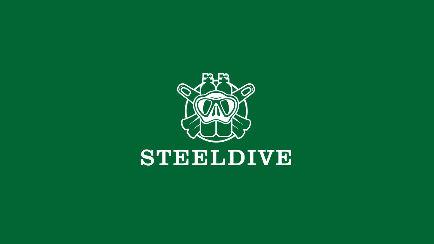 STEELDIVE Brand SD1953S Solid Bronze 41mm 30ATM Waterproof Sapphire Glass Super Luminous  NH35 Automatic Mens Dive Watch