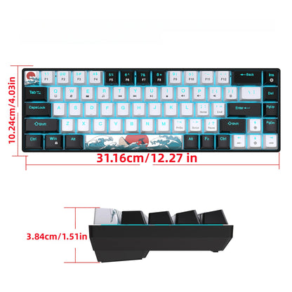 Mechanical Gaming Keyboard 68 Keys, Blue Switches & Multi-colored, Detachable Type-C Mini Gaming Keyboard