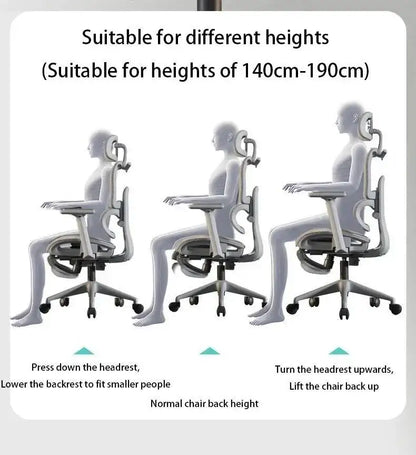 Support, Electronic Gaming Seat Computer Chair Back Adjustable Ergonomic Free Delivery Sedia Office Chair Wheelchair Furniture