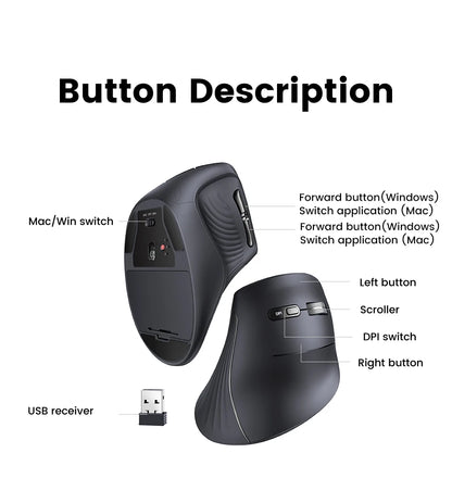 Mouse Wireless Bluetooth5.0 2.4G Ergonomic 4000DPI 6 Mute Buttons for MacBook Tablet Laptops Computer PC Mice