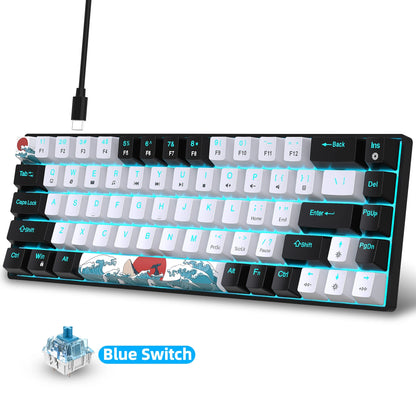 Mechanical Gaming Keyboard 68 Keys, Blue Switches & Multi-colored, Detachable Type-C Mini Gaming Keyboard