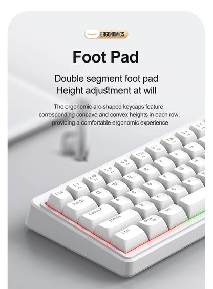 FREEWOLF M68SE 68% Mini Wired Keyboard RGB Backlit Silent Mechanical Feel Type-C Detachable Cable for PC Mac