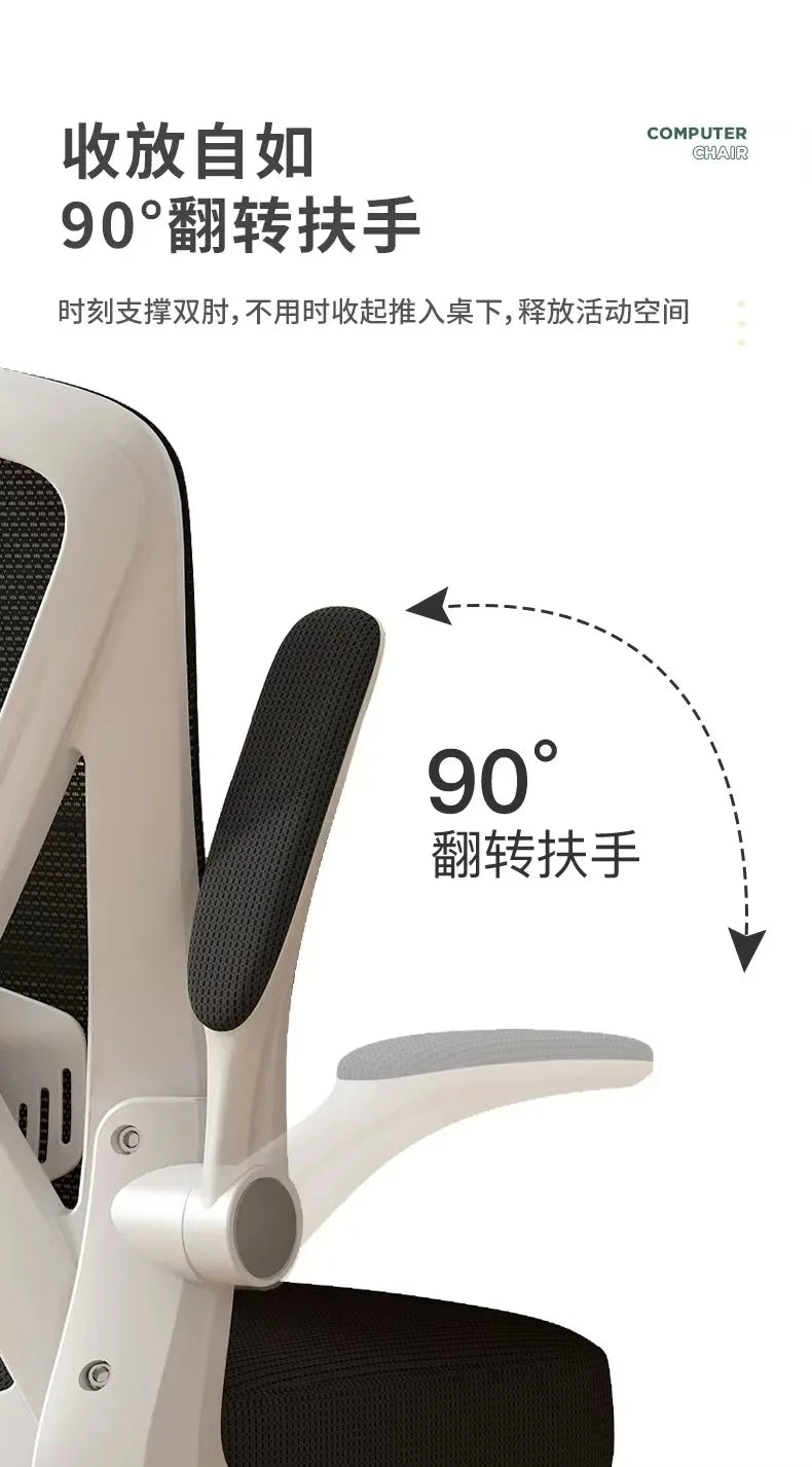 Computer Chair Home Comfort Backrest Lifting Study Chair Office Movable Lunch Break Ergonomic Office Chair