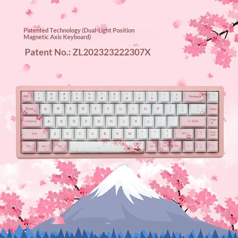 Everglide AE68 Pro Gaming Keyboard 8000Hz Polling Rate High Performance 0.001mm Rapid Trigger ADC Direct Link Dual RGB Lamp