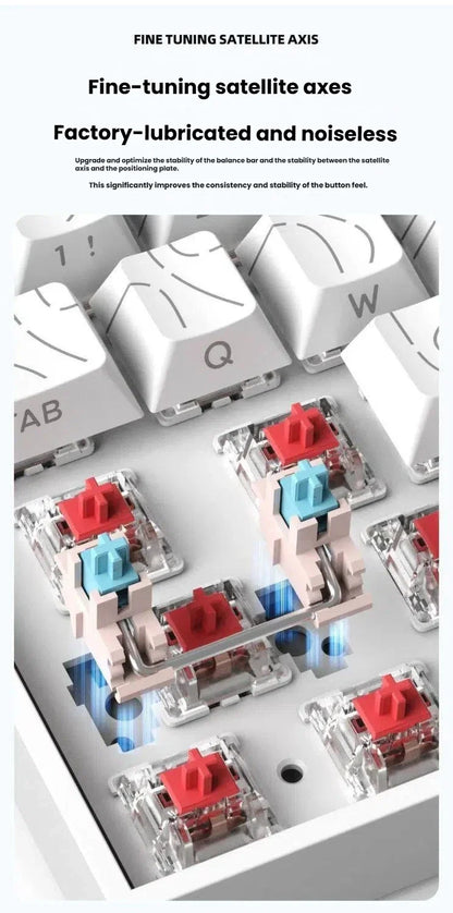 K61 kabelgebundene tragbare mechanische Tastatur, Phantom RGB farbenfroh, Reaktionsgeschwindigkeit auf Gaming-Niveau, ergonomisches Design, für Gaming und Büro geeignet