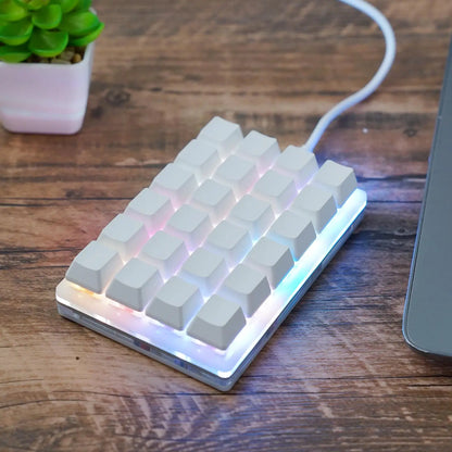 Mini USB Custom Mechanical Keyboard 24 Keys Black/White Gaming Keyboard Sayo Device Shortcut Programmable Keypad Keys Macro