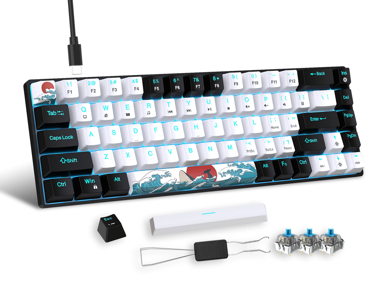 Mechanical Gaming Keyboard 68 Keys, Blue Switches & Multi-colored, Detachable Type-C Mini Gaming Keyboard
