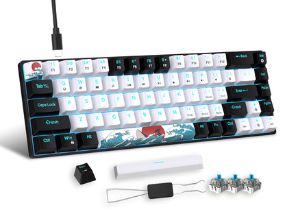 Mechanical Gaming Keyboard 68 Keys, Blue Switches & Multi-colored, Detachable Type-C Mini Gaming Keyboard