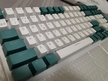 Spanish Mechanical Keyboard Spanish Russian Arabic Korean Thai Gaming Keyboard 95 Key Layout Backlight Type C With Numpad SK15