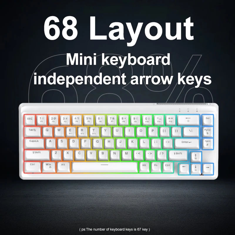 FREEWOLF M68SE 68 Key Mini Wired Keyboard RGB Backlit Type-C 68% Layout Compact Gaming Office PC Laptop