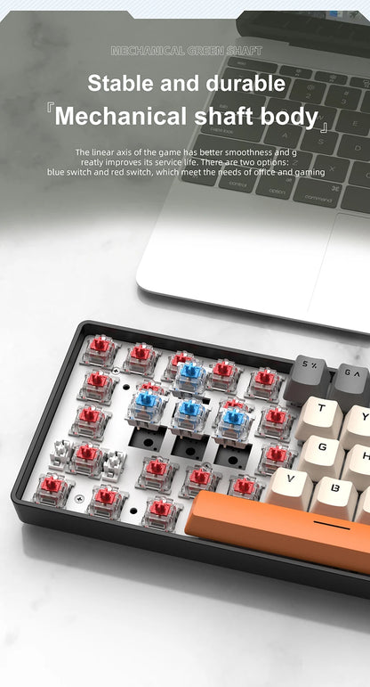 APAYADO K61 60% Mini Wired Gaming Mechanical Keyboard Phantom RGB, 61 Keys, Red/Blue Switch, Ergonomic, Portable for PC/Laptop