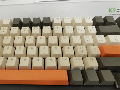 Spanish Mechanical Keyboard Spanish Russian Arabic Korean Thai Gaming Keyboard 95 Key Layout Backlight Type C With Numpad SK15