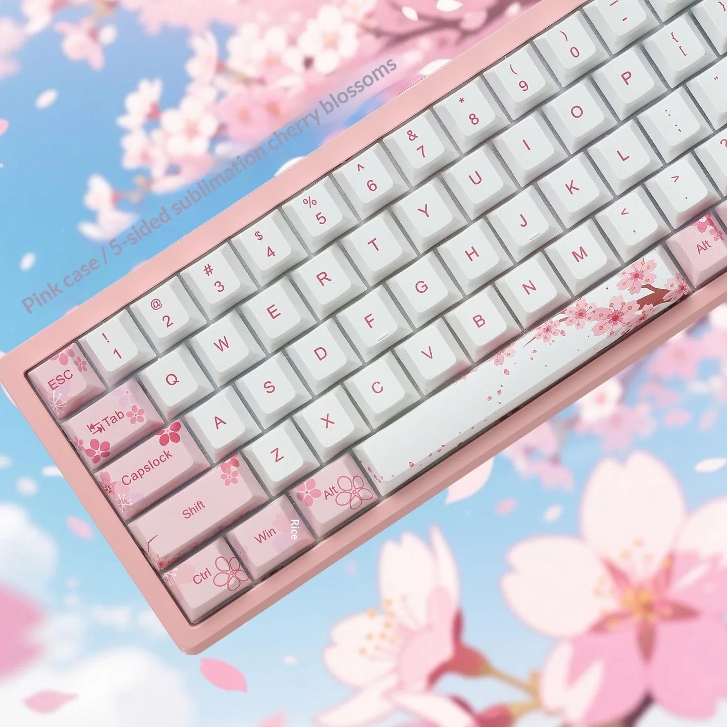Everglide AE68 Pro Gaming Keyboard 8000Hz Polling Rate High Performance 0.001mm Rapid Trigger ADC Direct Link Dual RGB Lamp