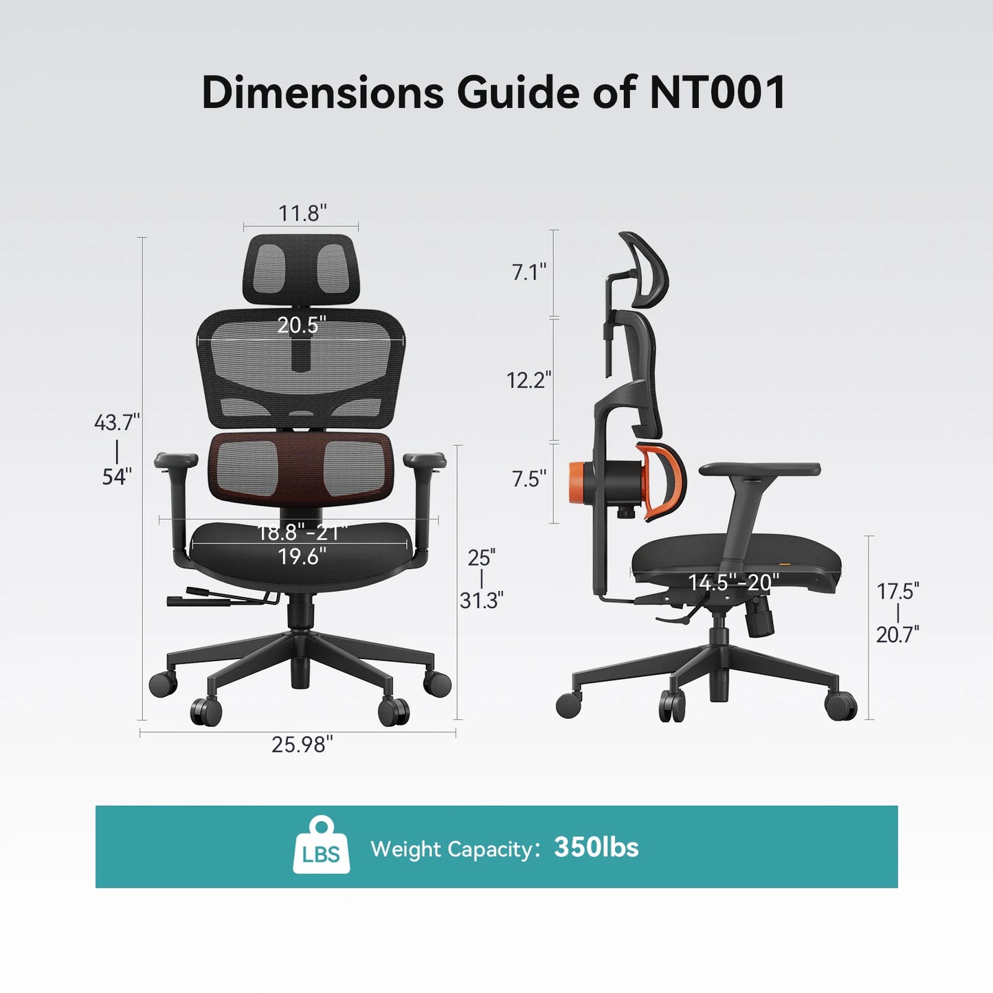 NEWTRAL NT001 Ergonomic Office Chair with Auto-Following Lumbar Support, 3 Recline Angle, Adjustable Backrest Armrest Headrest