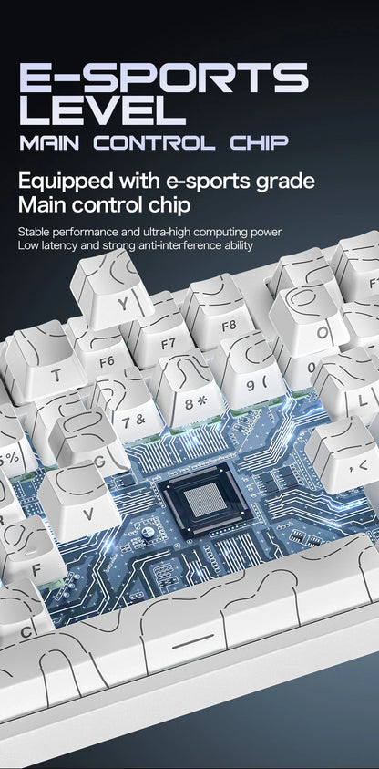 ATTACK SHARK R82 HE 75% Magnetic Keyboard 8000Hz Rapid Trigger 0.005mm RT 0.08ms Latency RGB Wired Gaming Keyboard